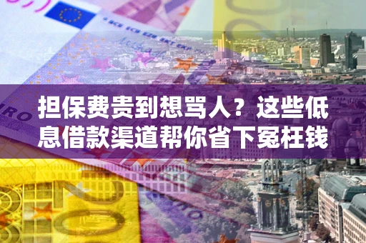 济南担保费贵到想骂人？这些低息借款渠道帮你省下冤枉钱