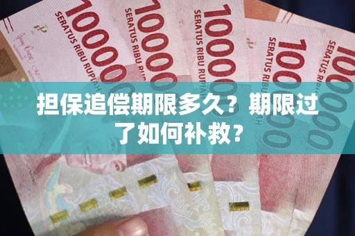 济南担保追偿期限多久？期限过了如何补救？