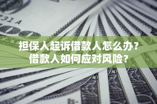 济南担保人起诉借款人怎么办？借款人如何应对风险？