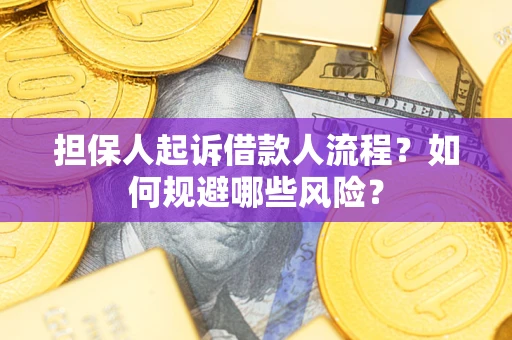 济南担保人起诉借款人流程？如何规避哪些风险？