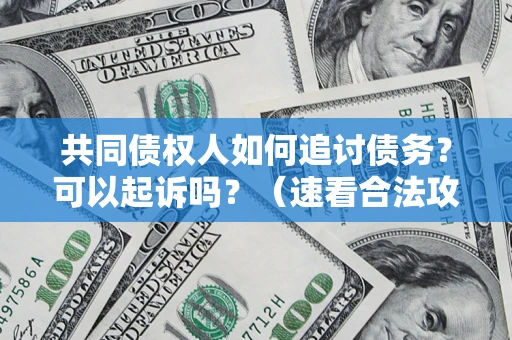 济南共同债权人如何追讨债务？可以起诉吗？（速看合法攻略）