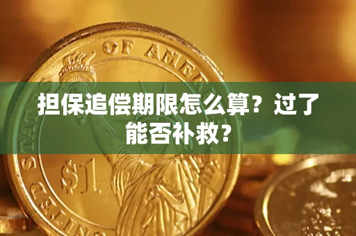 济南担保追偿期限怎么算？过了能否补救？